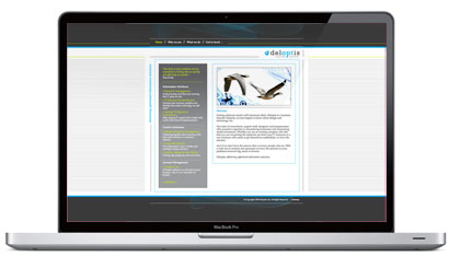 deloptis home page