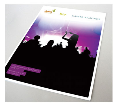 Capita brochure